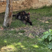 Snagov Vand casa 4 cam langa Primaria Snagov spre biserica teren 285 mp